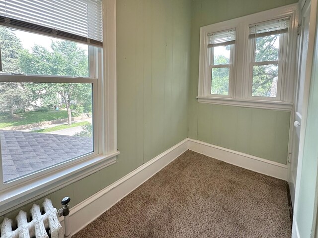 4222 Nokomis Ave, Minneapolis, MN 55406 - photo 17