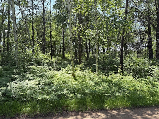 TBD Sluetter Rd, Pequot Lakes, MN 56472