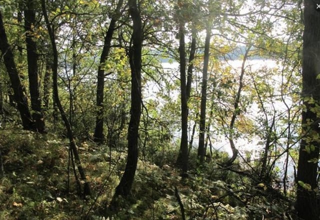 TBD Sluetter Rd, Pequot Lakes, MN 56472
