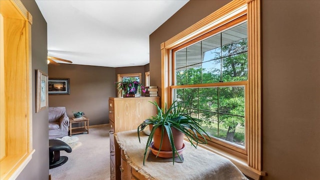 1764 State 84 SW, Pine River, MN 56474 - sitting room with carpet and baseboards