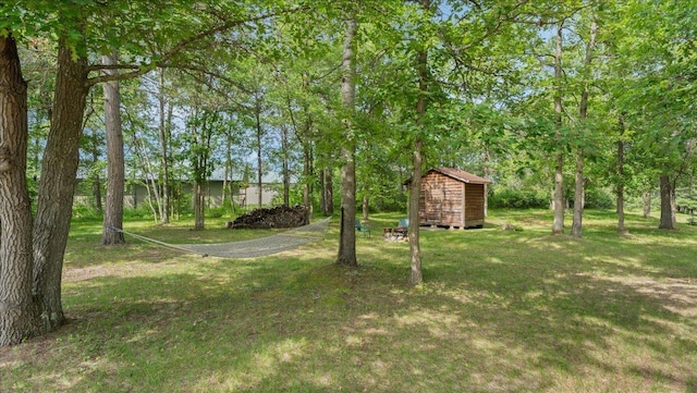 1764 State 84 SW, Pine River, MN 56474 - view of grassy yard featuring a shed