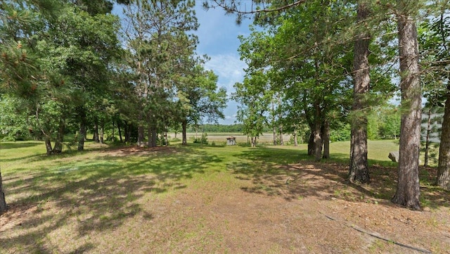 1764 State 84 SW, Pine River, MN 56474 - view of green lawn