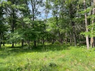TBD Clearwater Rd, Baxter, MN 56425