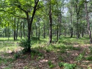 TBD Clearwater Rd, Baxter, MN 56425