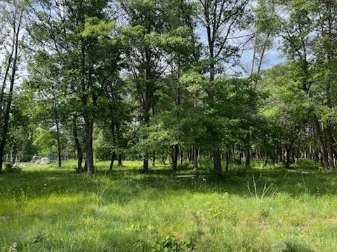 TBD Clearwater Rd, Baxter, MN 56425
