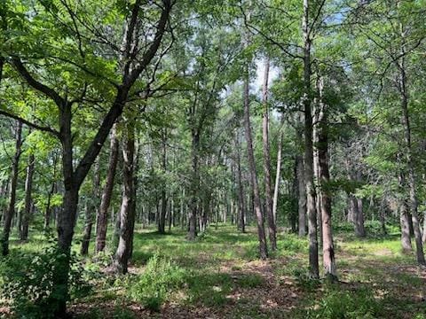 TBD Clearwater Rd, Baxter, MN 56425