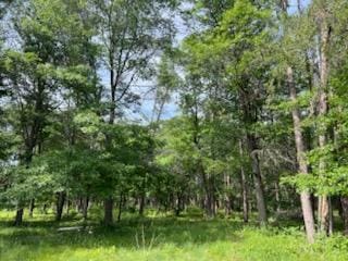 TBD Clearwater Rd, Baxter, MN 56425
