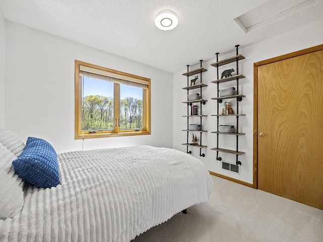 25533 Heritage Ln, Wyoming, MN 55092 - bedroom featuring carpet floors, attic access, and a textured ceiling