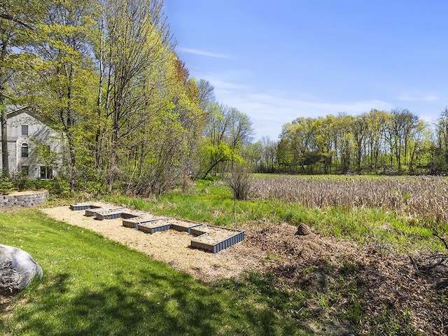 25533 Heritage Ln, Wyoming, MN 55092 - view of green lawn with a vegetable garden