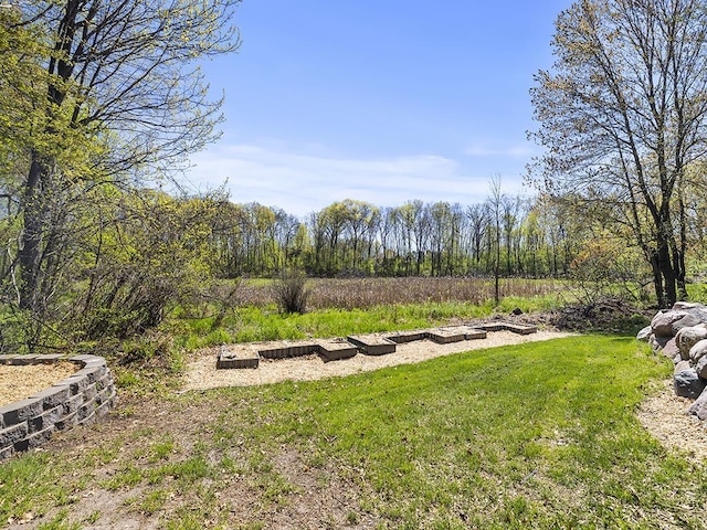 25533 Heritage Ln, Wyoming, MN 55092 - view of green lawn
