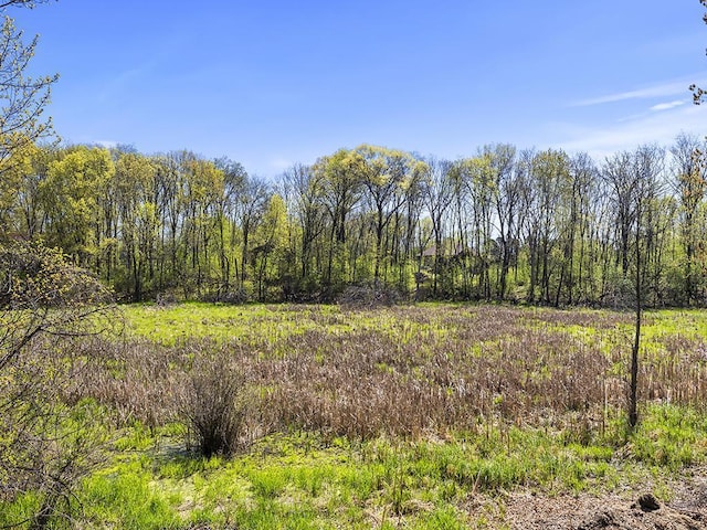 25533 Heritage Ln, Wyoming, MN 55092 - view of wooded area