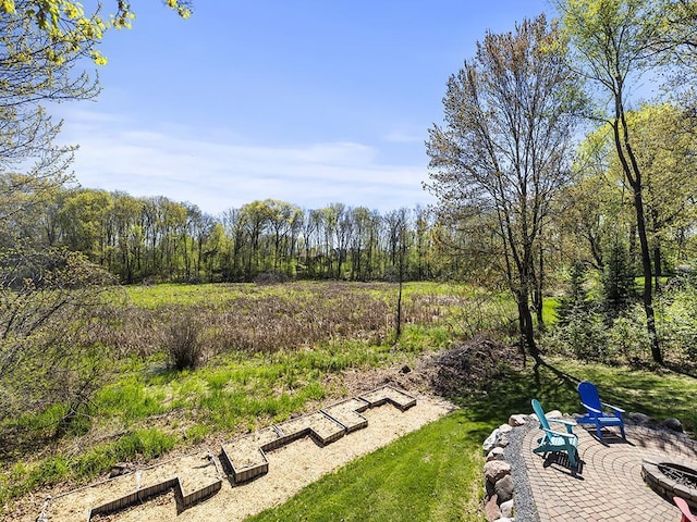 25533 Heritage Ln, Wyoming, MN 55092 - view of yard with a patio and an outdoor fire pit