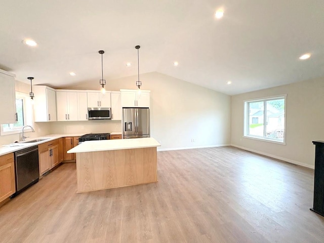 3669 Meadow Sage Ct SE, Rochester, MN 55904 - photo 4