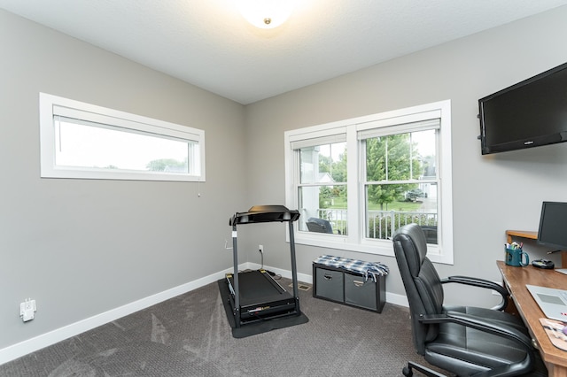 2745 Sand Trap Rd SE, Rochester, MN 55904 - office featuring carpet floors