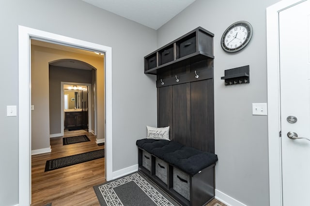 2745 Sand Trap Rd SE, Rochester, MN 55904 - mudroom featuring wood finished floors and arched walkways