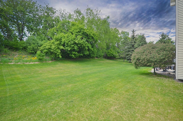 8051 Enclave Bay, Woodbury, MN 55125 - view of grassy yard