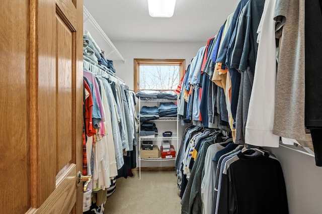 8051 Enclave Bay, Woodbury, MN 55125 - spacious closet with carpet