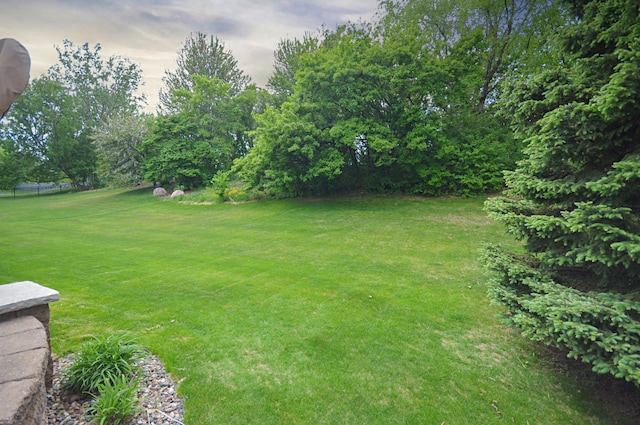 8051 Enclave Bay, Woodbury, MN 55125 - view of green lawn