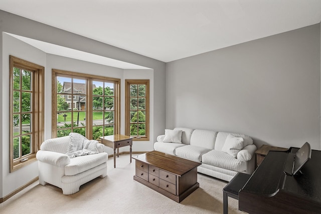 8051 Enclave Bay, Woodbury, MN 55125 - living room with carpet floors