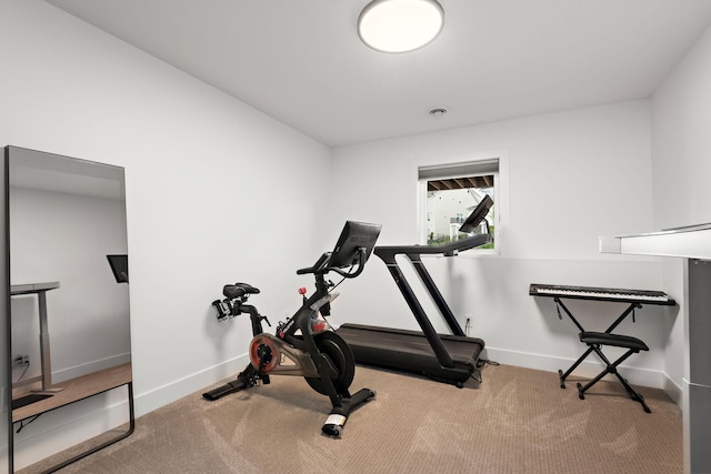 16942 47th Pl N, Plymouth, MN 55446 - exercise room featuring carpet and baseboards