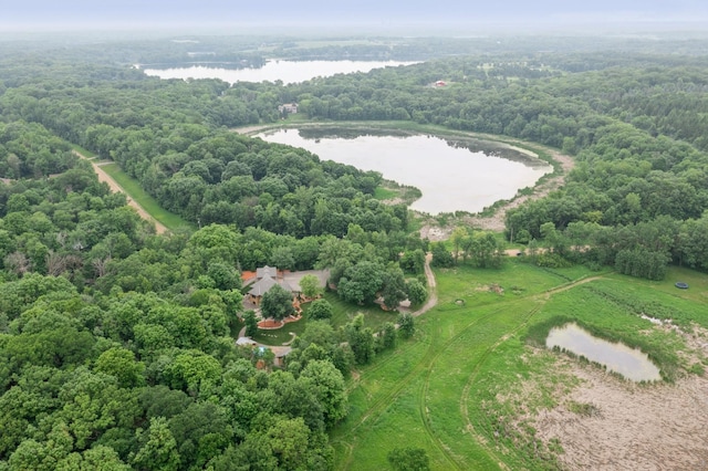 8271 Barton Ave NW, Buffalo, MN 55313 - bird's eye view of a large body of water and a heavily wooded area