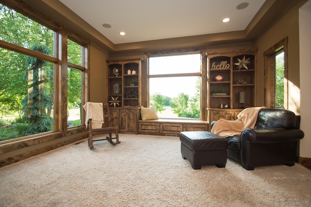 8271 Barton Ave NW, Buffalo, MN 55313 - living area featuring carpet floors, healthy amount of natural light, and recessed lighting
