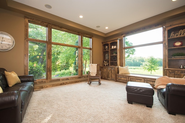 8271 Barton Ave NW, Buffalo, MN 55313 - living area with carpet flooring and recessed lighting