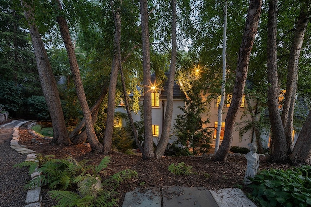 3316 34 1/2 St, Minneapolis, MN 55416 - photo 6