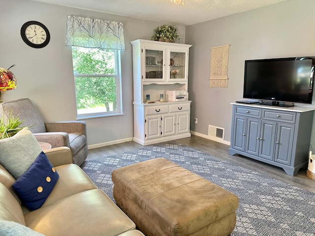 7495 Hillsdale Loop NW, Walker, MN 56484 - living area with dark wood finished floors and baseboards