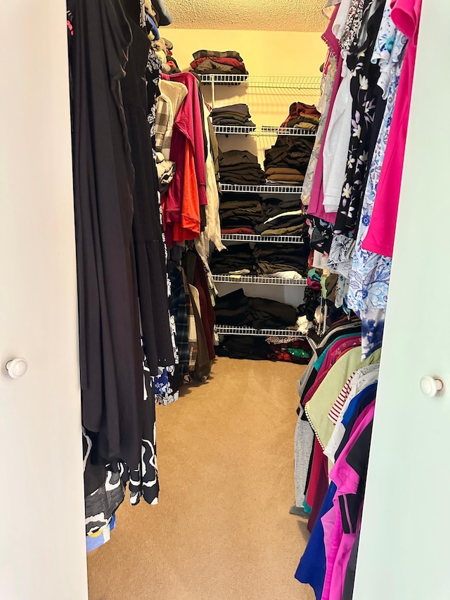 7495 Hillsdale Loop NW, Walker, MN 56484 - walk in closet with carpet floors