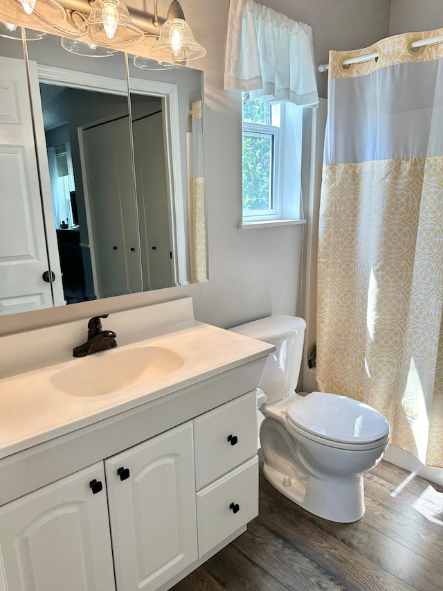 7495 Hillsdale Loop NW, Walker, MN 56484 - full bathroom with vanity, wood finished floors, and a shower with shower curtain