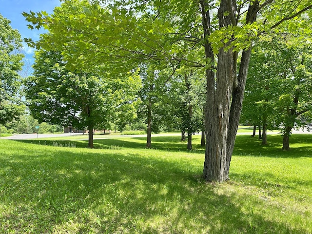 7495 Hillsdale Loop NW, Walker, MN 56484 - view of green lawn