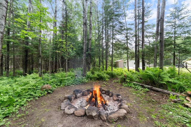 185 Olson Rd, Thomson Twp, MN 55733 - view of yard featuring a fire pit