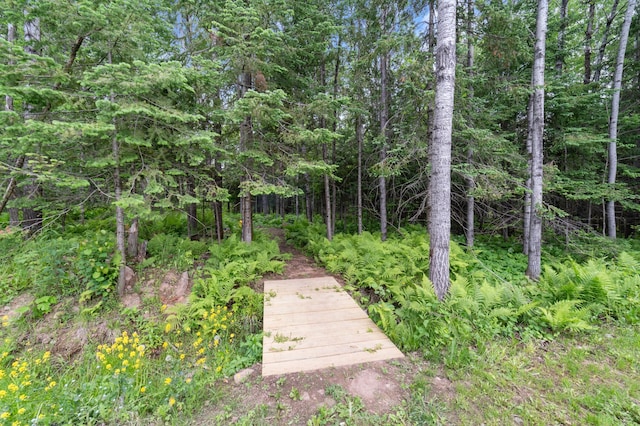 185 Olson Rd, Thomson Twp, MN 55733 - view of community with a wooded view