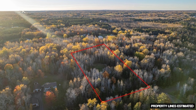 185 Olson Rd, Thomson Twp, MN 55733 - view of property location with a heavily wooded area and property boundaries highlighted