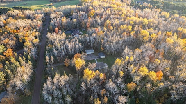 185 Olson Rd, Thomson Twp, MN 55733 - aerial view of property's location featuring a forest