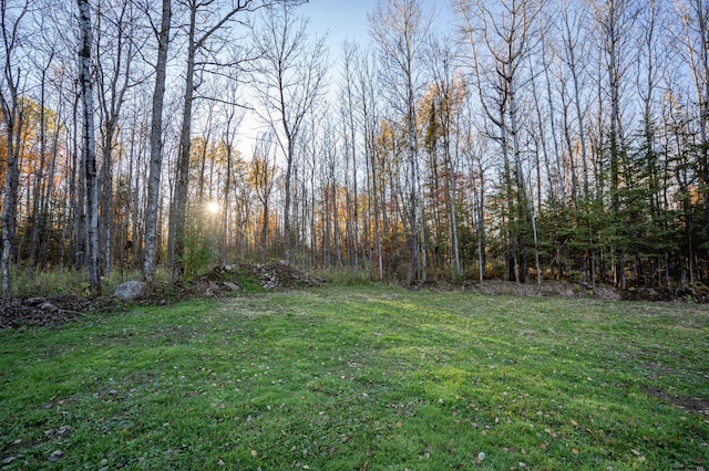 185 Olson Rd, Thomson Twp, MN 55733 - view of green lawn