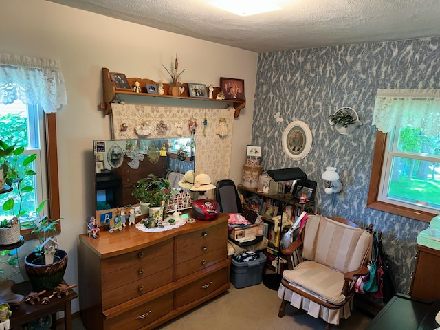 925 Willow St W, Detroit Lakes, MN 56501 - sitting room with plenty of natural light, carpet, a textured ceiling, and wallpapered walls