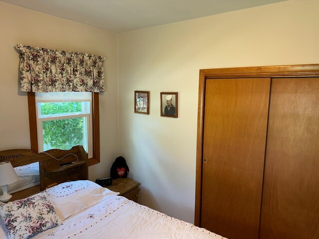 925 Willow St W, Detroit Lakes, MN 56501 - bedroom with a closet