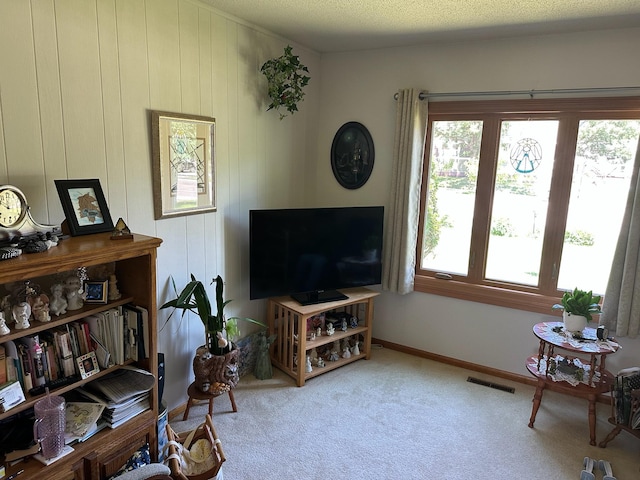 925 Willow St W, Detroit Lakes, MN 56501 - carpeted living room with healthy amount of natural light
