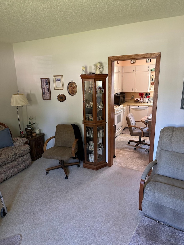 925 Willow St W, Detroit Lakes, MN 56501 - living area featuring light carpet and a desk