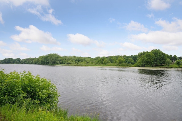 30 Main St S Unit 5E, Pine City, MN 55063 - water view featuring a forest