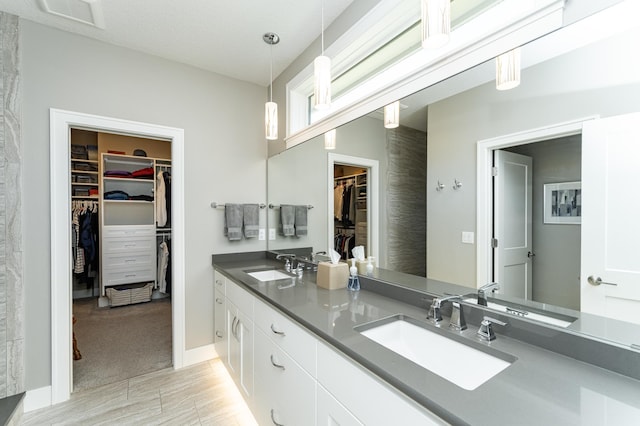 1062 Fox Hill Ln SW, Rochester, MN 55902 - full bath featuring double vanity, a walk in closet, and wood finished floors