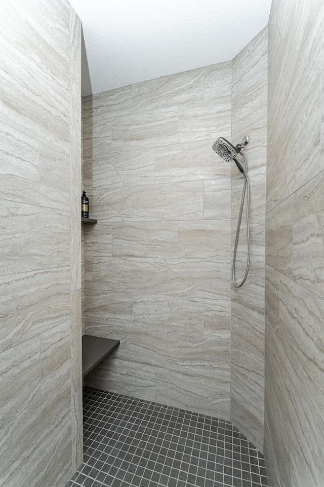 1062 Fox Hill Ln SW, Rochester, MN 55902 - full bath with tiled shower