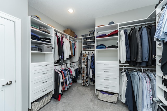 1062 Fox Hill Ln SW, Rochester, MN 55902 - walk in closet with light colored carpet