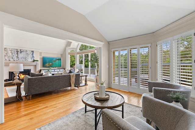 11193 Bluestem Ln, Eden Prairie, MN 55347 - living area with lofted ceiling, a lit fireplace, and wood finished floors