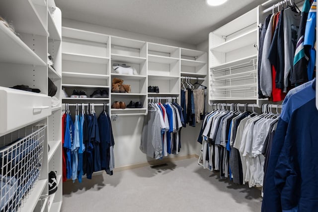 11193 Bluestem Ln, Eden Prairie, MN 55347 - walk in closet with carpet flooring