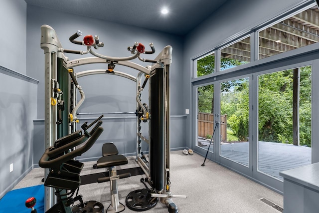11193 Bluestem Ln, Eden Prairie, MN 55347 - exercise area with carpet floors and baseboards