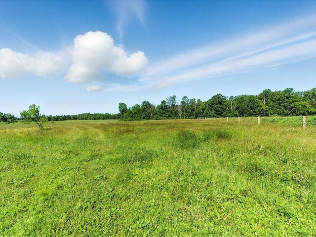 33498 175th St NE, Morrill Twp, MN 56329 - view of undeveloped land featuring rural landscape