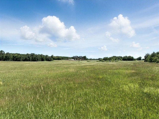 33498 175th St NE, Morrill Twp, MN 56329 - view of local wilderness with rural landscape